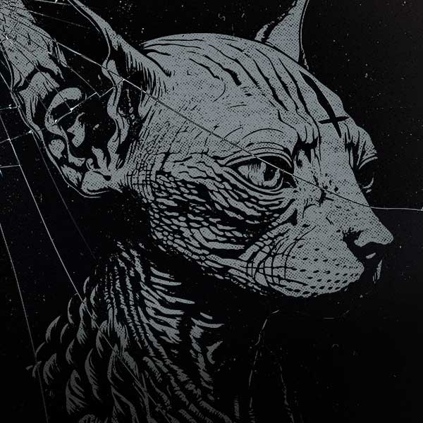Sphynx Cat